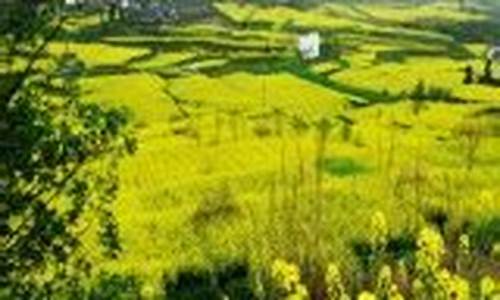 南充天气预报30天_南充天气预报30天查询百度
