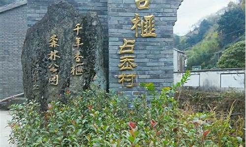 绍兴天气预报24小时天气预报最新_绍兴天气预报24小时天气预报