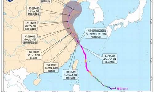 2022年太平洋台风季维基百科_2022年太平洋台风季