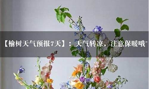 榆树天气预报_榆树天气预报一周天气