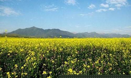 山丹天气预报15天查询_山丹天气