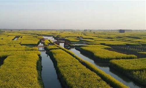 兴化天气预报2345_兴化天气预报15天查询百度