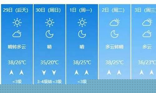 聊城15天天气预报查询_聊城15天天气预报查询今天