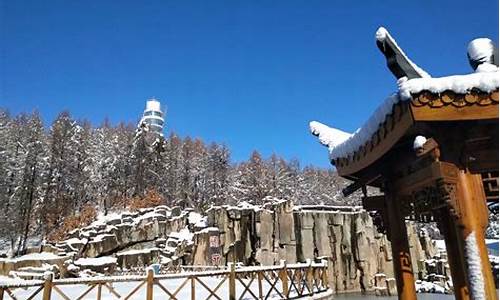 宝泉岭天气预报7天查询_宝泉岭天气预报