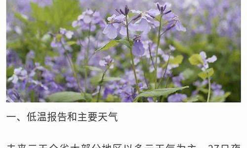 扬州未来一周天气趋势预报分析表_扬州未来一周天气趋势预报分析