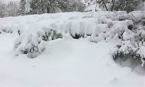 河南明天有大暴雪_河南明天有大暴雪下雨吗