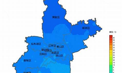 新洲区天气预报24小时_新洲区天气预报