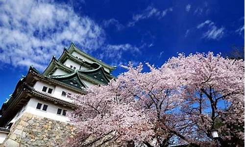 日本必去十大景点排名_去日本必买三样东西