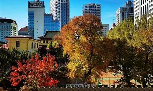 哈市一周天气预报哈市一周详情_哈市一周的天气预报