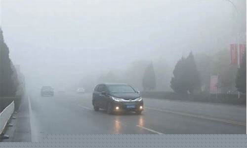 大雾天气开车注意事项_大雾天气开车