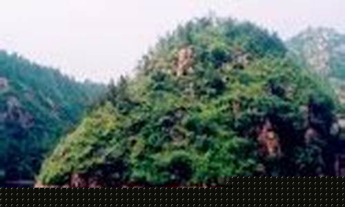山东莱芜天气预报一周7天查询_山东莱芜天气预报一周