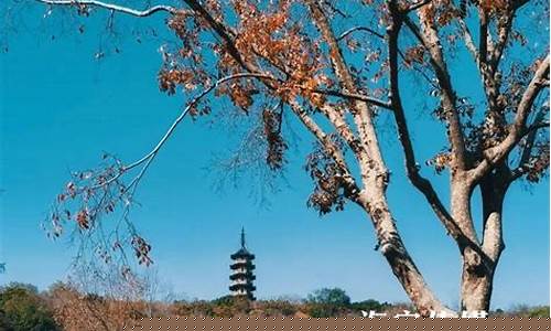 海宁一周天气_海宁一周天气预报30天
