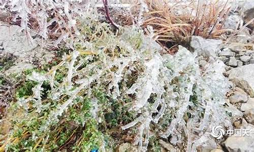 湘西花垣天气_湘西花垣天气预报15天查询结果