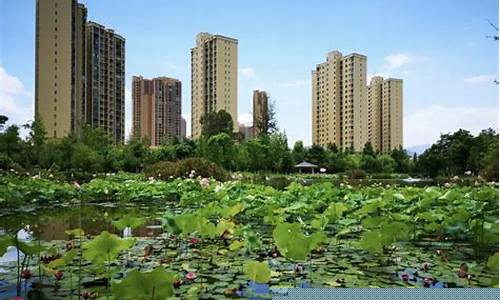 昆明富民县天气预报_昆明富民县天气预报15天