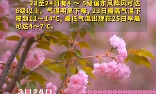 万荣天气预报_越南万荣天气预报