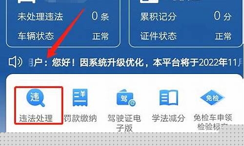 车牌号查询违章记录_车牌号查询违章记录的方式