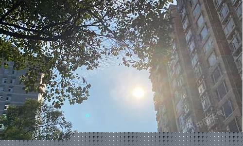 重庆最近几天的天气预报_重庆最近几天的天气预报是多少