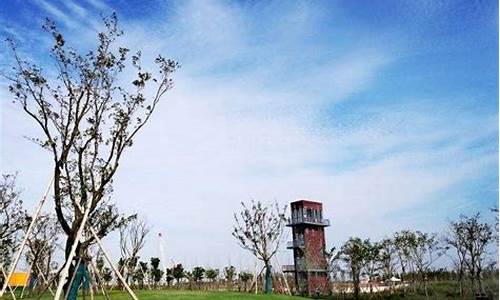 南汇天气预报一周7天_南汇天气预报