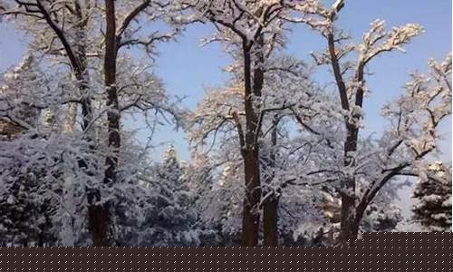 北京今天下雪了吗图片_北京今天下雪了吗