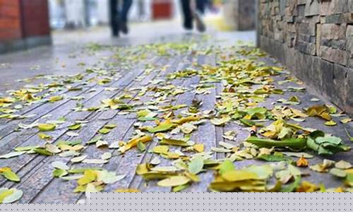 赤壁市天气预报15天准确一览表_赤壁市天气预报15天